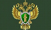8f03f1963e5daf36e3e2a07b79ab4ba1.jpeg