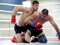 Миниатюра для версии от 23:53, 1 января 2025