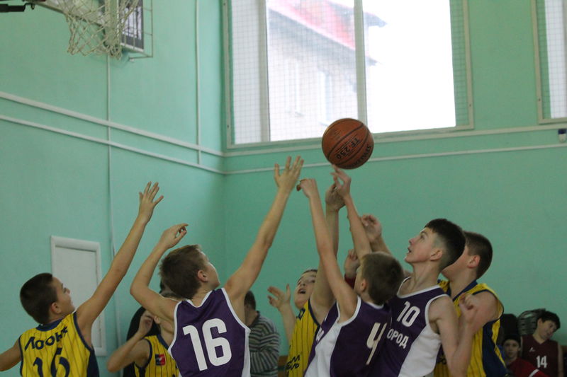 Файл:01321f87600abf2db51c3f57e2bf74d2.jpeg