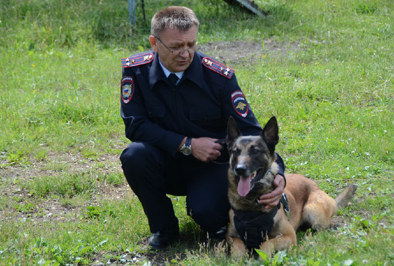 Файл:89863c420b25f78ff1f91ac1018d0cbc.jpeg