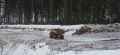 Миниатюра для версии от 15:58, 16 декабря 2024
