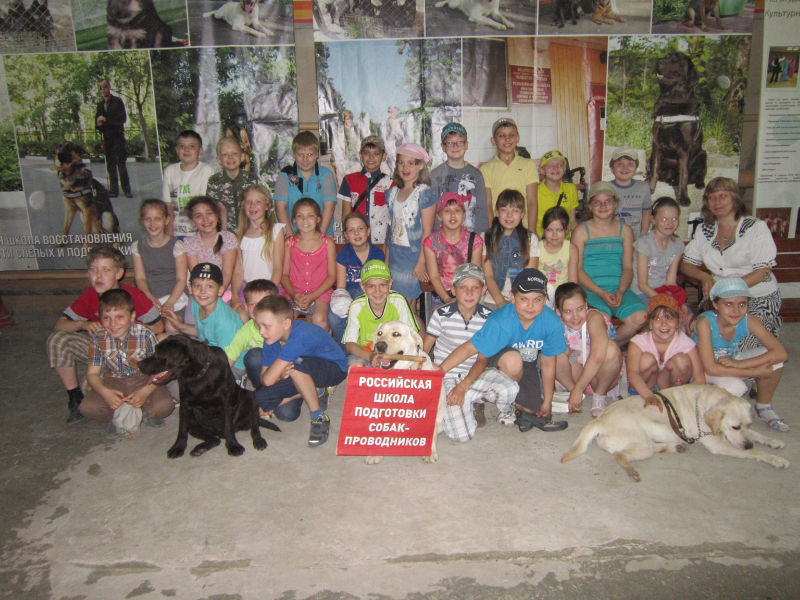 Файл:A644f7544547f451d95b97773ecca35b.jpeg