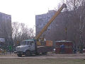Миниатюра для версии от 00:05, 19 декабря 2024
