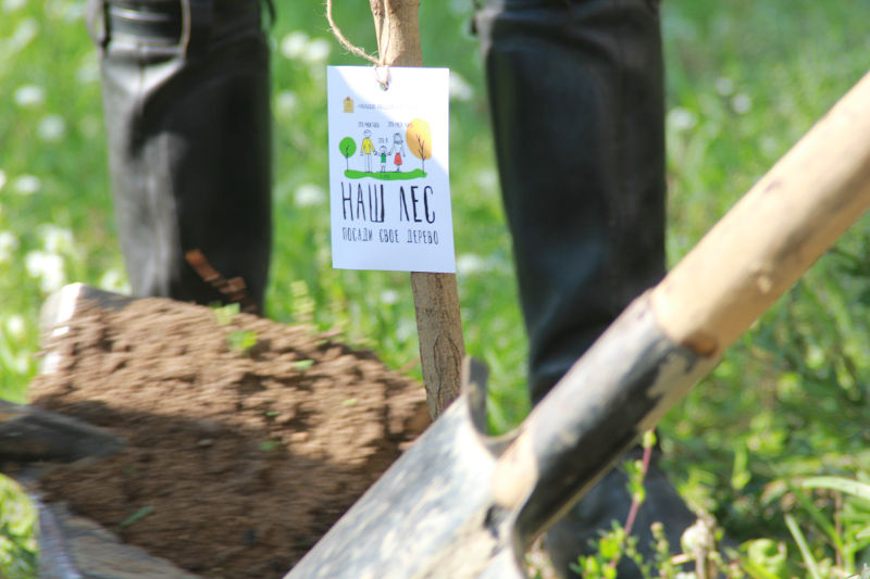 Файл:Abbec1f2d0ecb975b6de06553ac508f2.jpeg