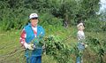 Миниатюра для версии от 17:20, 16 декабря 2024