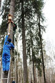 Миниатюра для версии от 09:22, 13 декабря 2024