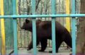 Миниатюра для версии от 20:36, 14 декабря 2024