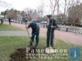 Миниатюра для версии от 19:50, 14 декабря 2024