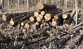 Миниатюра для версии от 10:08, 16 декабря 2024