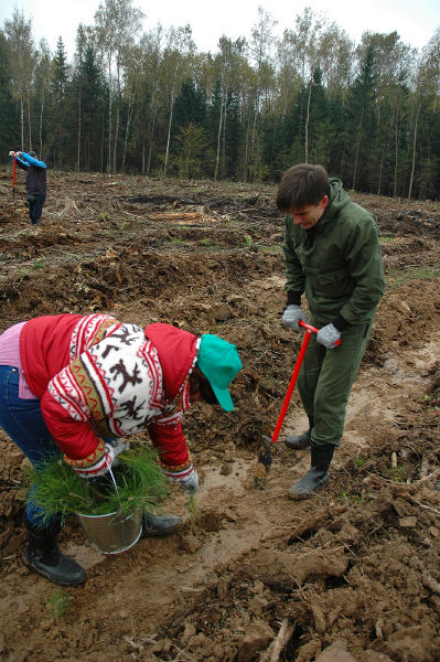 Файл:Ab89ce899422f60ed3d123bb41191304.jpeg