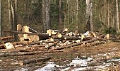 Миниатюра для версии от 01:25, 20 декабря 2024