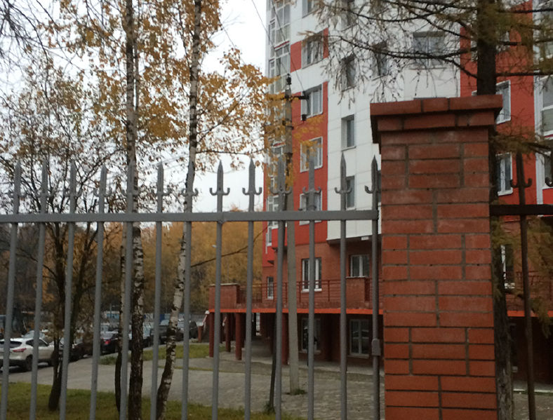 Файл:894d0f5235e1f1fba2985fd92fae4a2b.jpeg