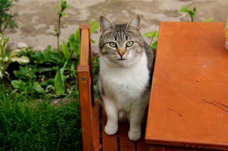 Файл:7135b82d507e13b8123977e3c861b133.jpeg