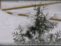 Миниатюра для версии от 07:46, 11 декабря 2024