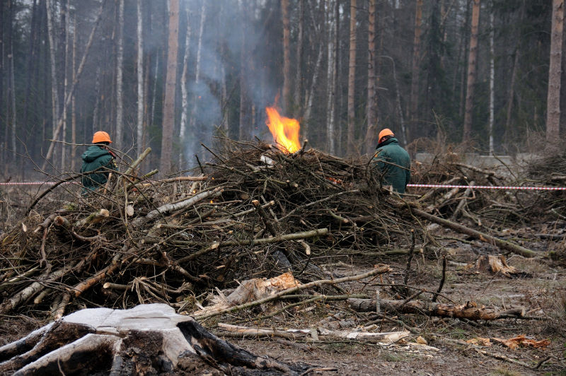 Файл:78e4595408b7eeee1d204a46829fe273.jpeg
