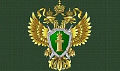 Миниатюра для версии от 11:52, 17 декабря 2024
