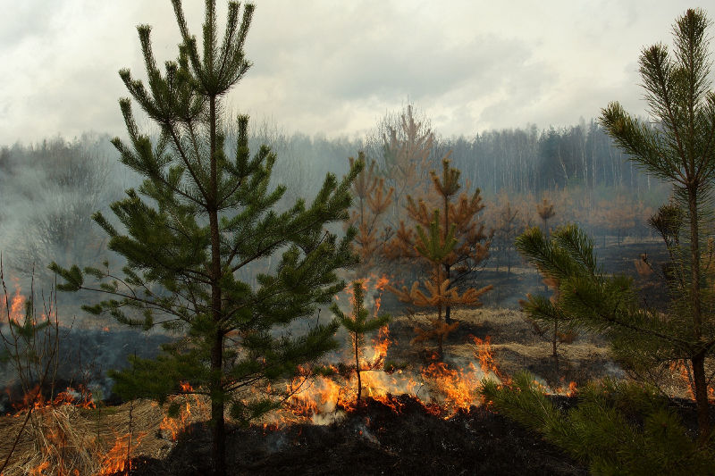 Файл:5ba284c5d208026b021c52cb36f99682.jpeg