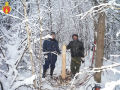 Миниатюра для версии от 07:13, 11 декабря 2024
