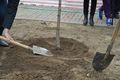 Миниатюра для версии от 03:10, 2 января 2025