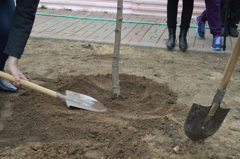 Файл:9d73255f7ff352db8c151f16932f1c99.jpeg