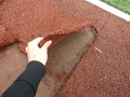 Миниатюра для версии от 10:37, 13 декабря 2024